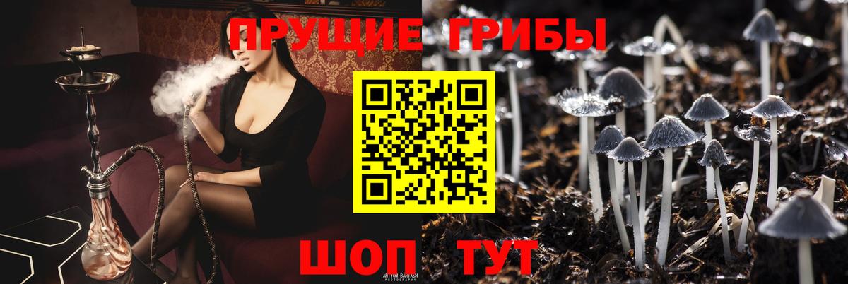 Унеча  Галлюциногенные грибы мицелий  где продают наркотики  Галлюциногенные грибы Psilocybine cubensis  Вход с VPN 