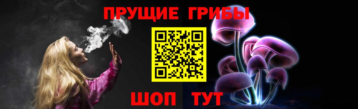 Псилоцибиновые грибы мицелий Унеча